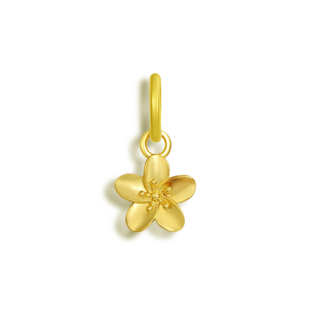 Chic Charmers – Elevate Your Style
