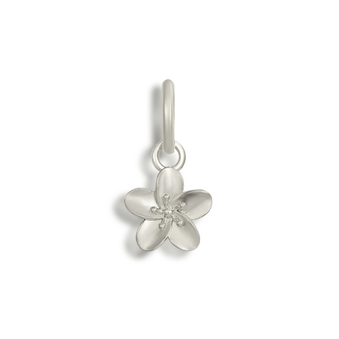 Serenity – Luxe Bikini Charms Collection