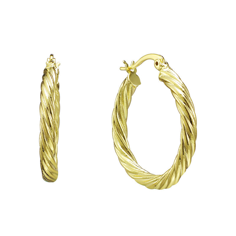 Contemporary Charm – Hoop Elegance