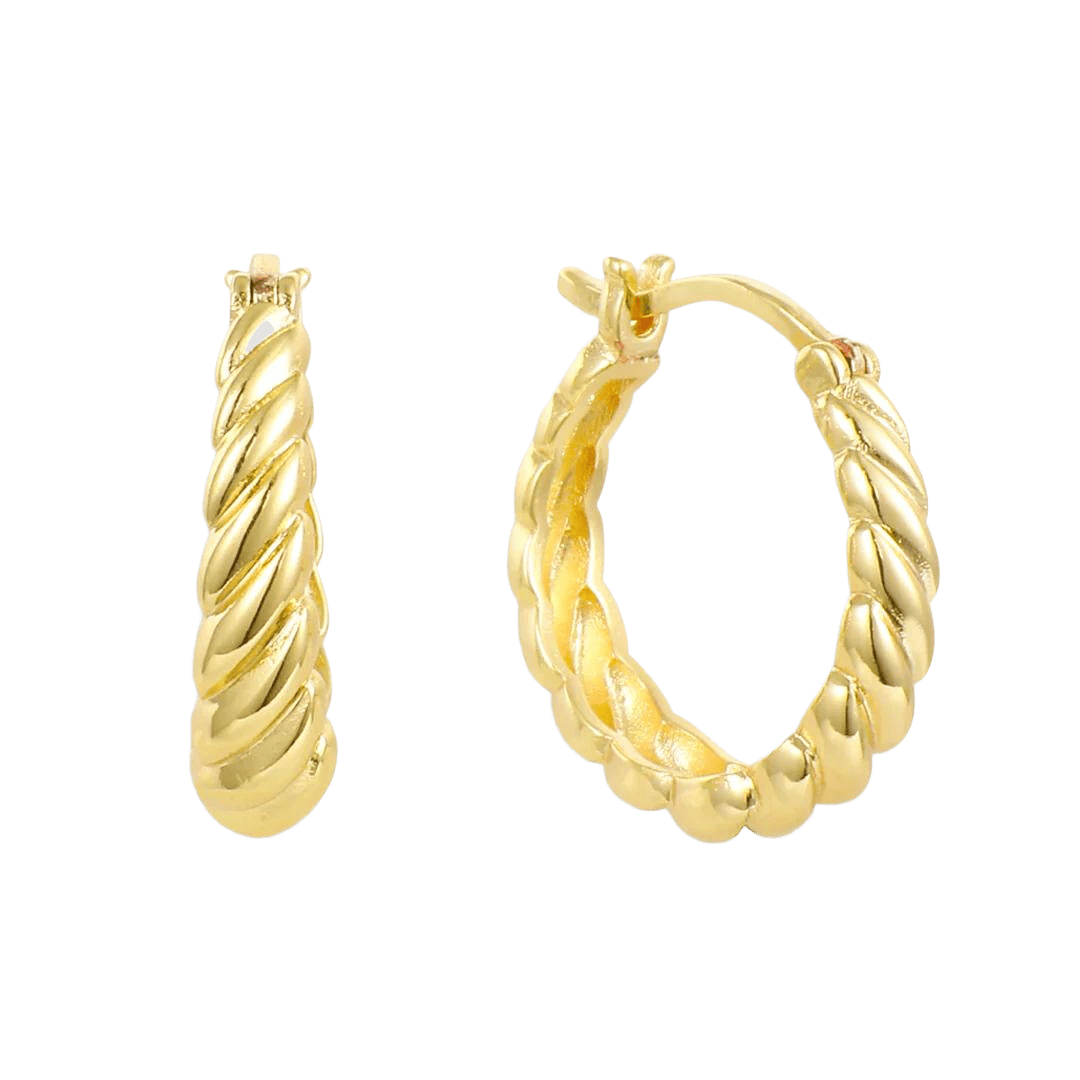 Twist of Elegance Earrings